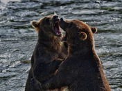 Katmai National Park and Preserve