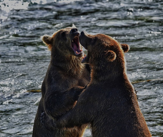Katmai National Park and Preserve
