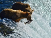 Katmai National Park and Preserve