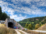 Greenwood rd Tunnel