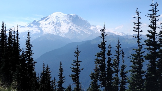 Mount Rainier National Park
