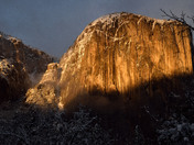 Yosemite National Park