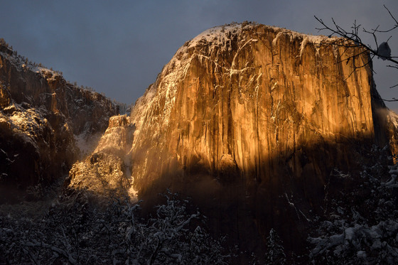 Yosemite National Park
