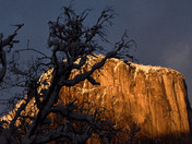 Yosemite National Park