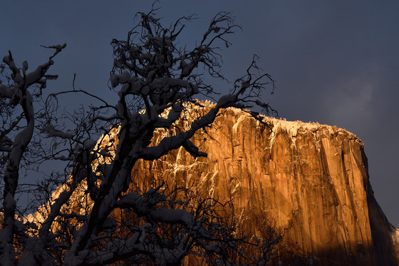 Yosemite National Park
