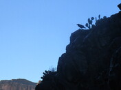 Grand Canyon National Park
