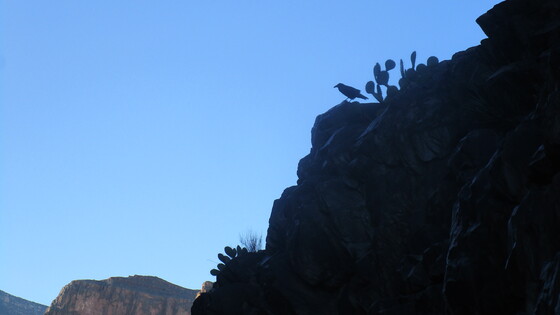 Grand Canyon National Park