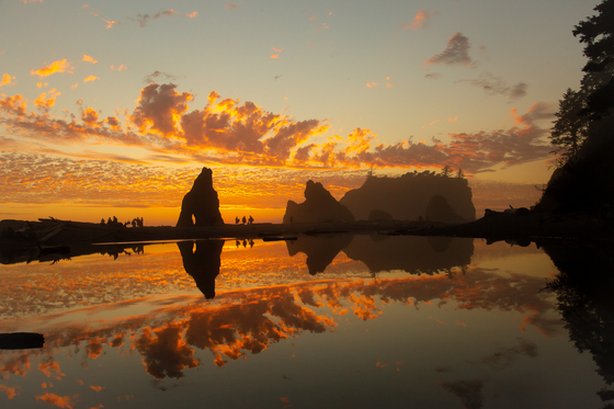 Olympic National Park