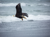 Olympic National Park