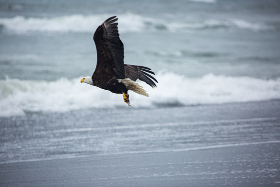 Olympic National Park