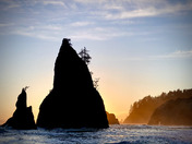 Olympic National Park