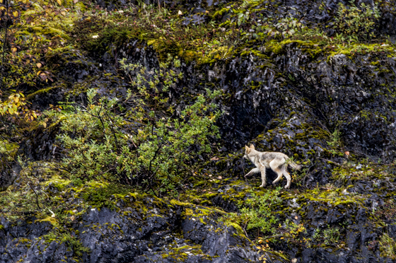 Glacier Bay National Park