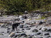 Glacier Bay National Park