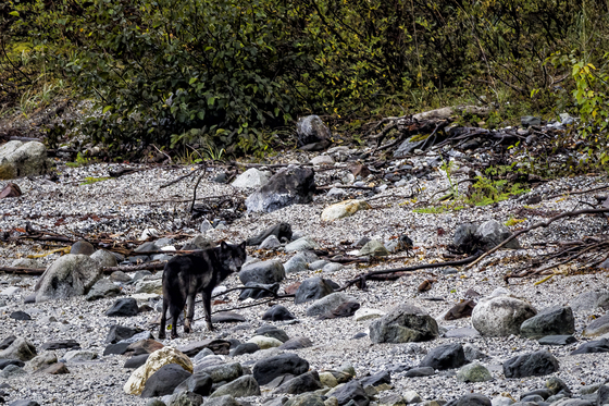 Glacier Bay National Park