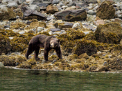 Glacier Bay National Park