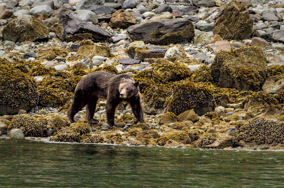 Glacier Bay National Park