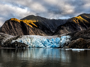 Tongass National Forest