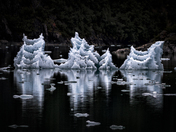 Tongass National Forest