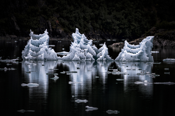 Tongass National Forest
