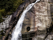 Tongass National Forest