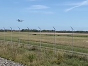 Cute wildlife taken by Nat 