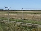 Cute wildlife taken by Nat 