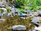 Coconino National Forest