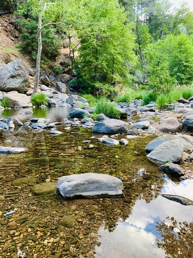 Coconino National Forest
