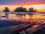Olympic National Park 