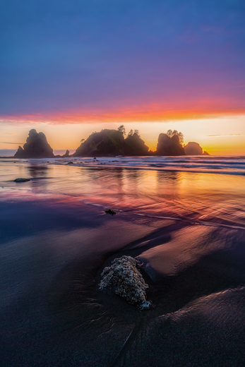 Olympic National Park 