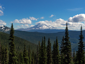 Gifford Pinchot National Forest