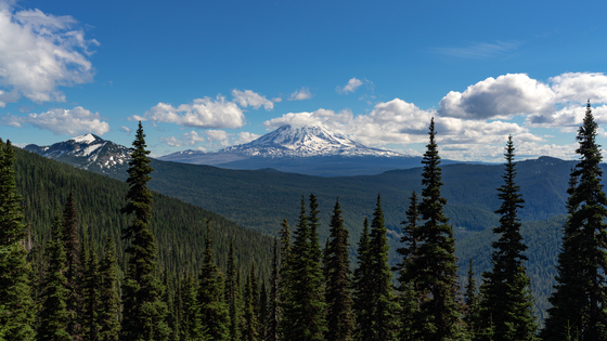 Gifford Pinchot National Forest
