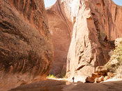 Capitol Reef National Park
