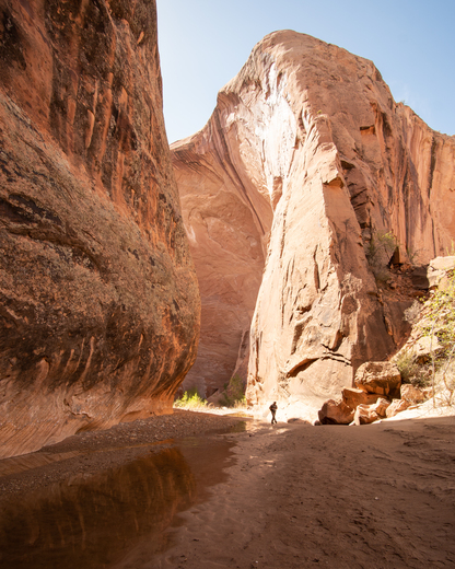 Capitol Reef National Park