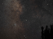 Medicine Bow-Routt National Forest