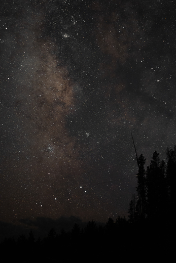 Medicine Bow-Routt National Forest