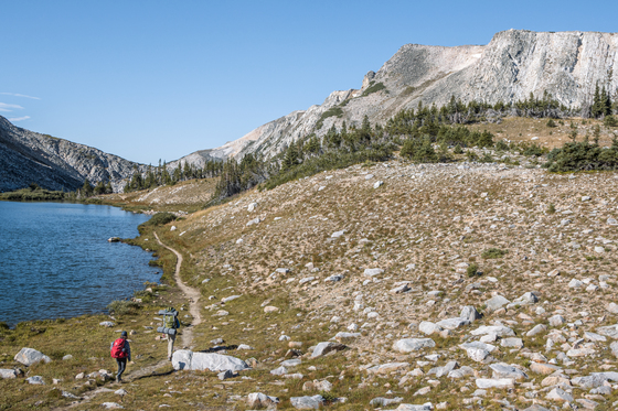 Medicine Bow-Routt National Forest