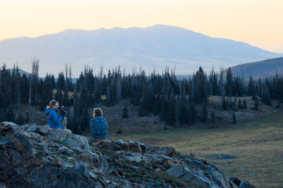 Medicine Bow-Routt National Forest