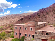 Donkey Parked in Driveway