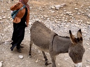 Girl and her donkey gets water for family