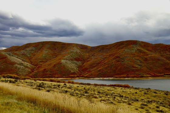 Uinta-Wasatch-Cache National Forest