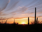 Saguaro National Park West