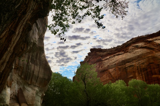 Capitol Reef National Park