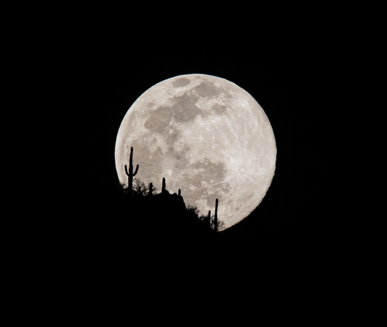 Saguaro National Park West