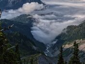 Mount Rainier National Park