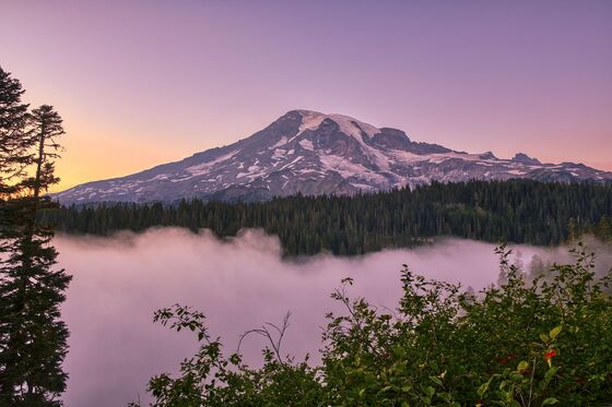 Mount Rainier National Park