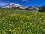 Mount Rainier National Park