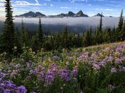 Mount Rainier National Park