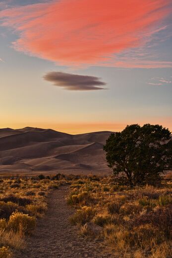 Great Sand Dunes National Park & Preserve