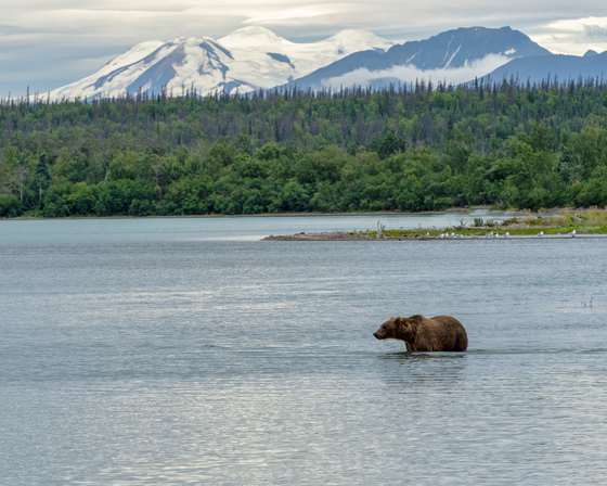 Katmai National Park and Preserve